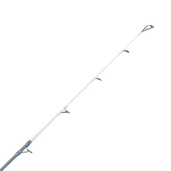 TRXSG42_1 Tronixpro Xenon Surf GT